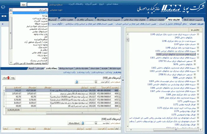 پرتو (سامانه جامع مالی) شرکت پویا